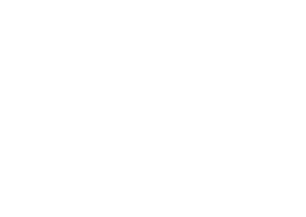 Fallout Media