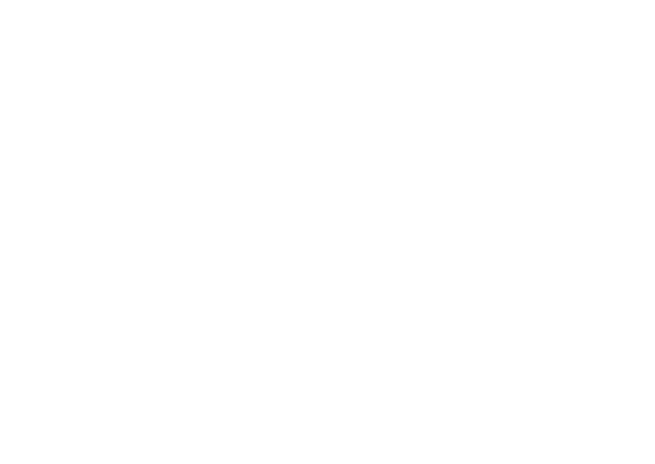 Ritz Carlton